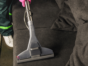 Upholstery Cleaning Ny Nj Ct